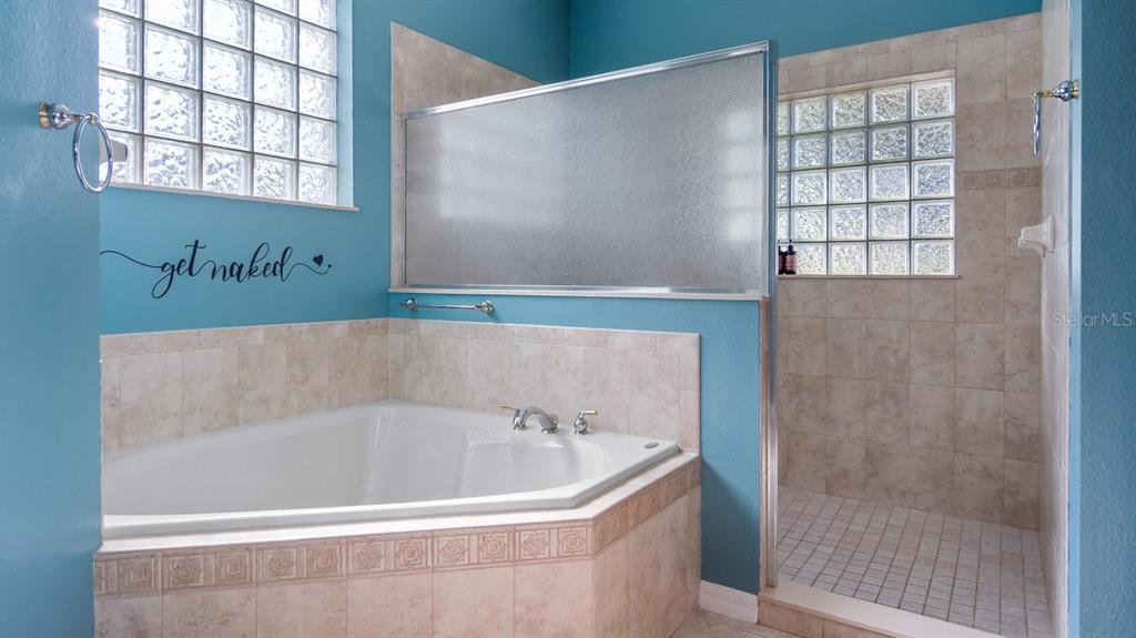 7351 Spring Mountain Lane Yalaha, FL 34797 - Photo 26 of 61