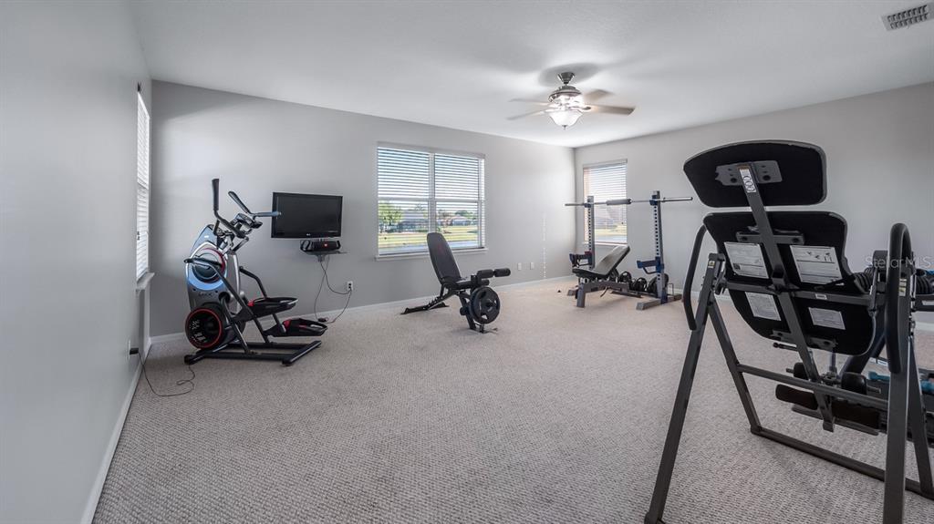 7351 Spring Mountain Lane Yalaha, FL 34797 - Photo 33 of 61