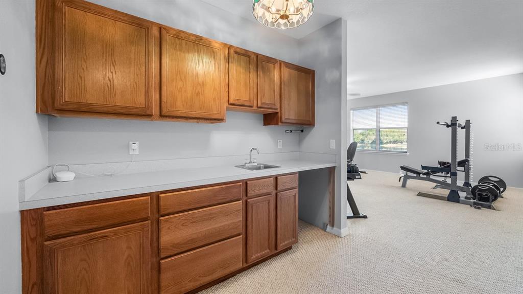 7351 Spring Mountain Lane Yalaha, FL 34797 - Photo 35 of 61