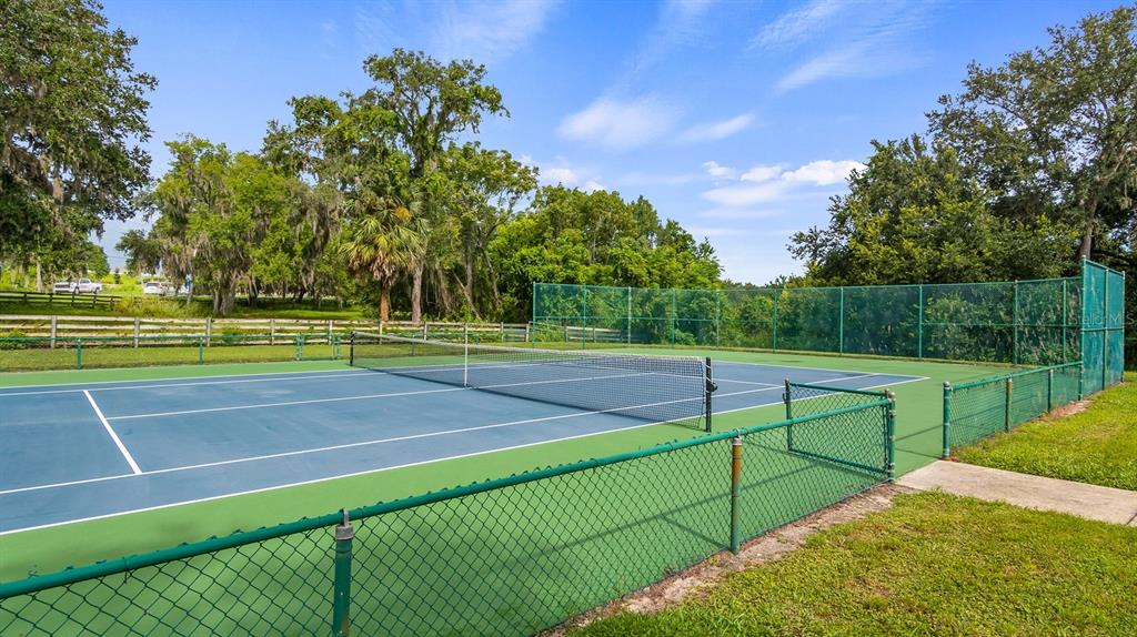 7351 Spring Mountain Lane Yalaha, FL 34797 - Photo 59 of 61