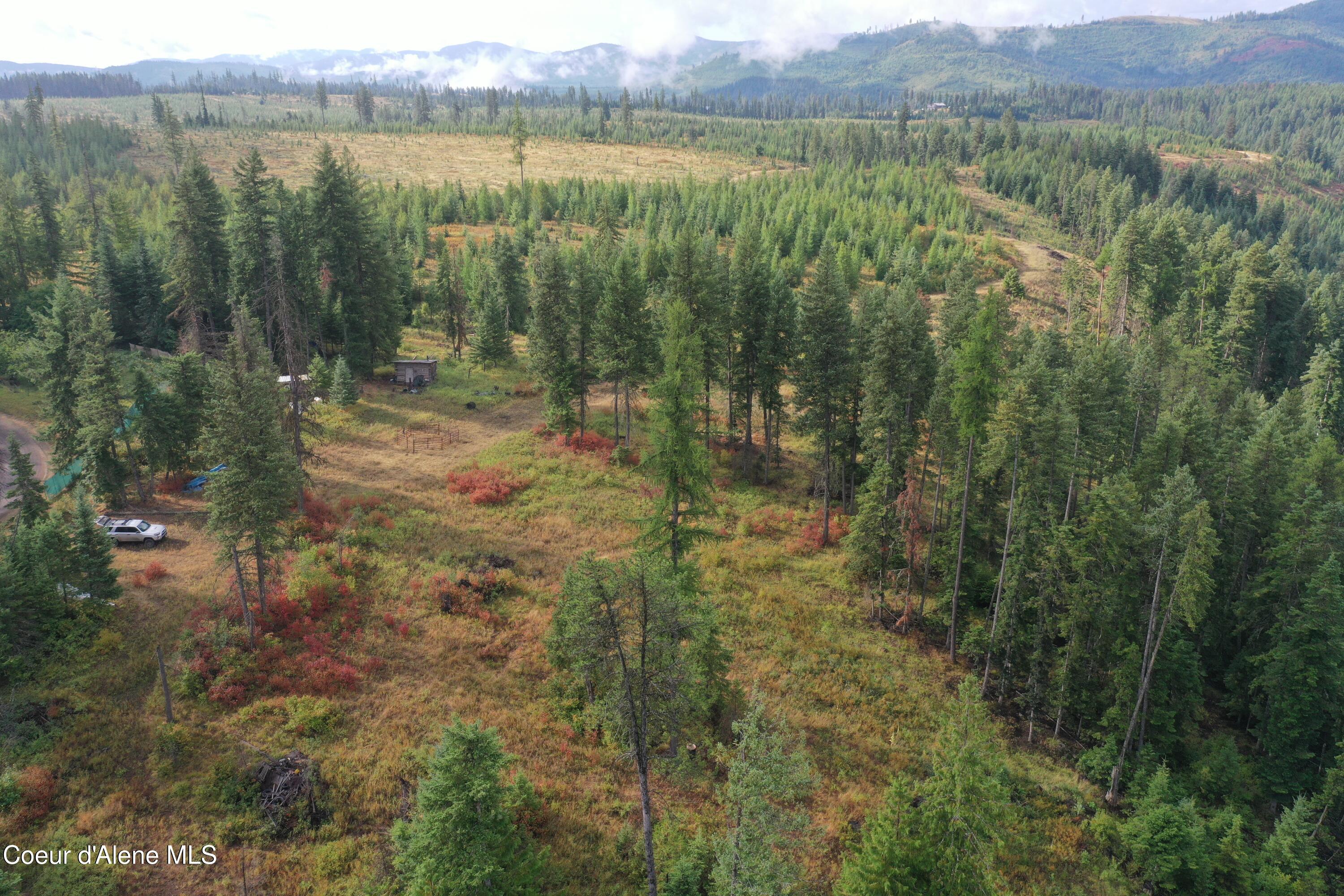 DJI_0374