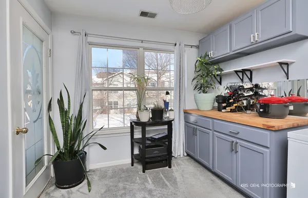 a kitchen with a potted plant on the counter and a glass door