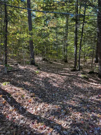 $729,000 | 829 Bearcamp Highway, Tamworth, NH 03883