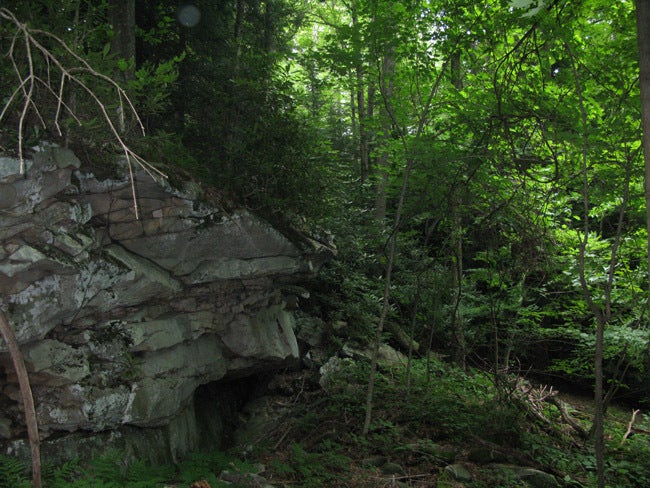 100 Deepwell Road Nettie, WV 26681 - Photo 9 of 14 Big Rock Forest-8