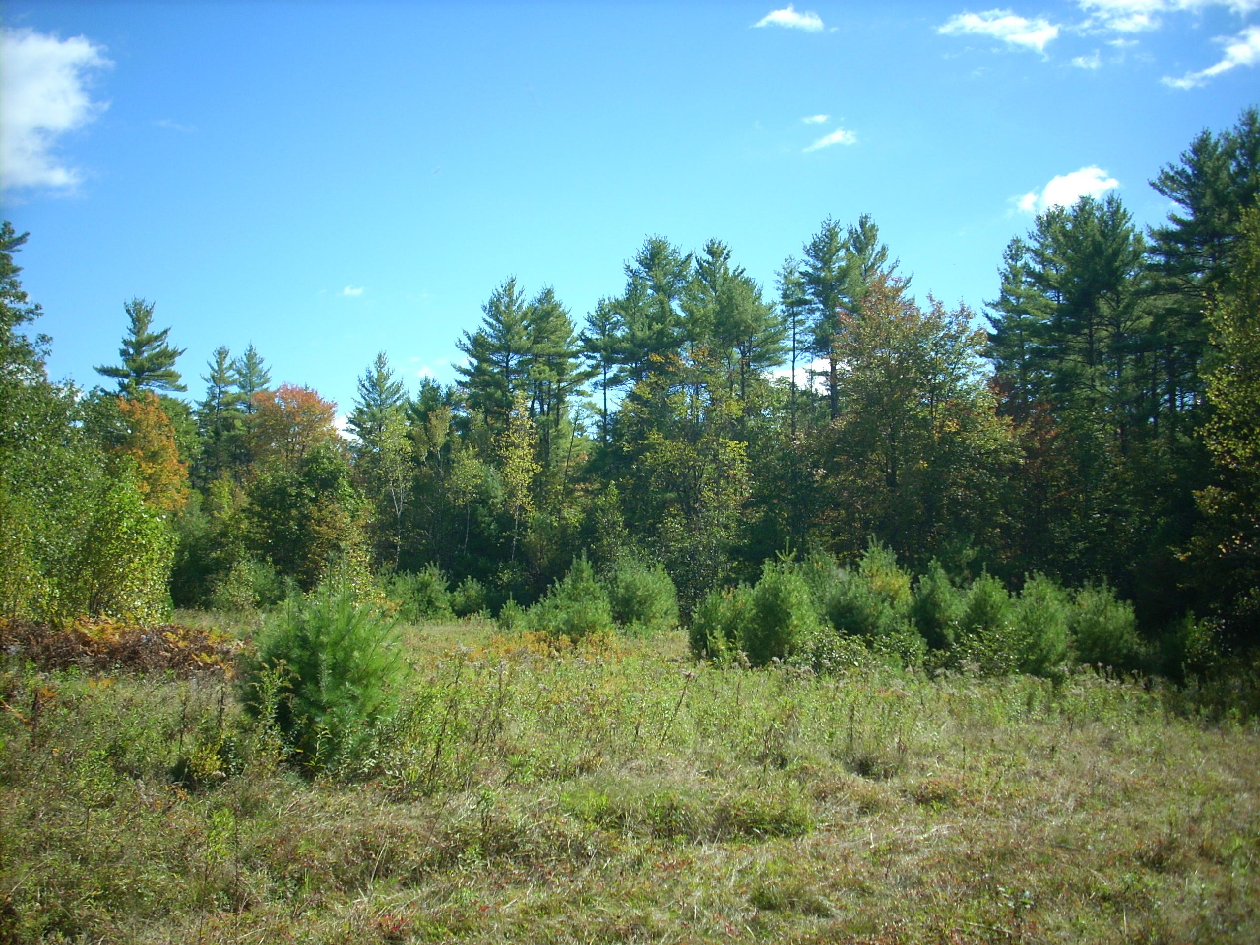245 West Gray Road Gray, ME 04039 - Photo 3 of 4 DSCN1667