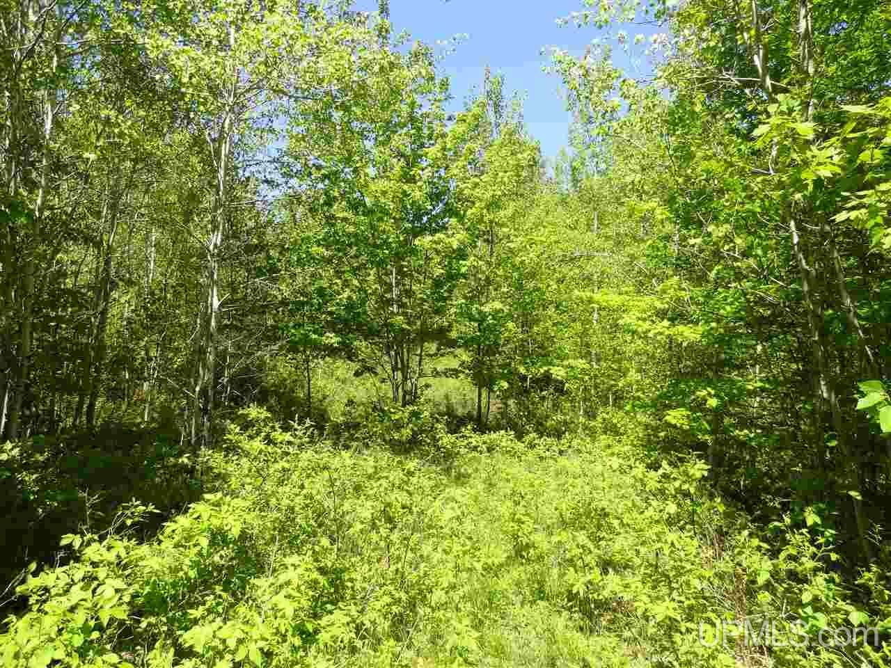 40 Two 2 Mile Creek Road Channing, MI 49815 - Photo 5 of 14 Gallery Image 5