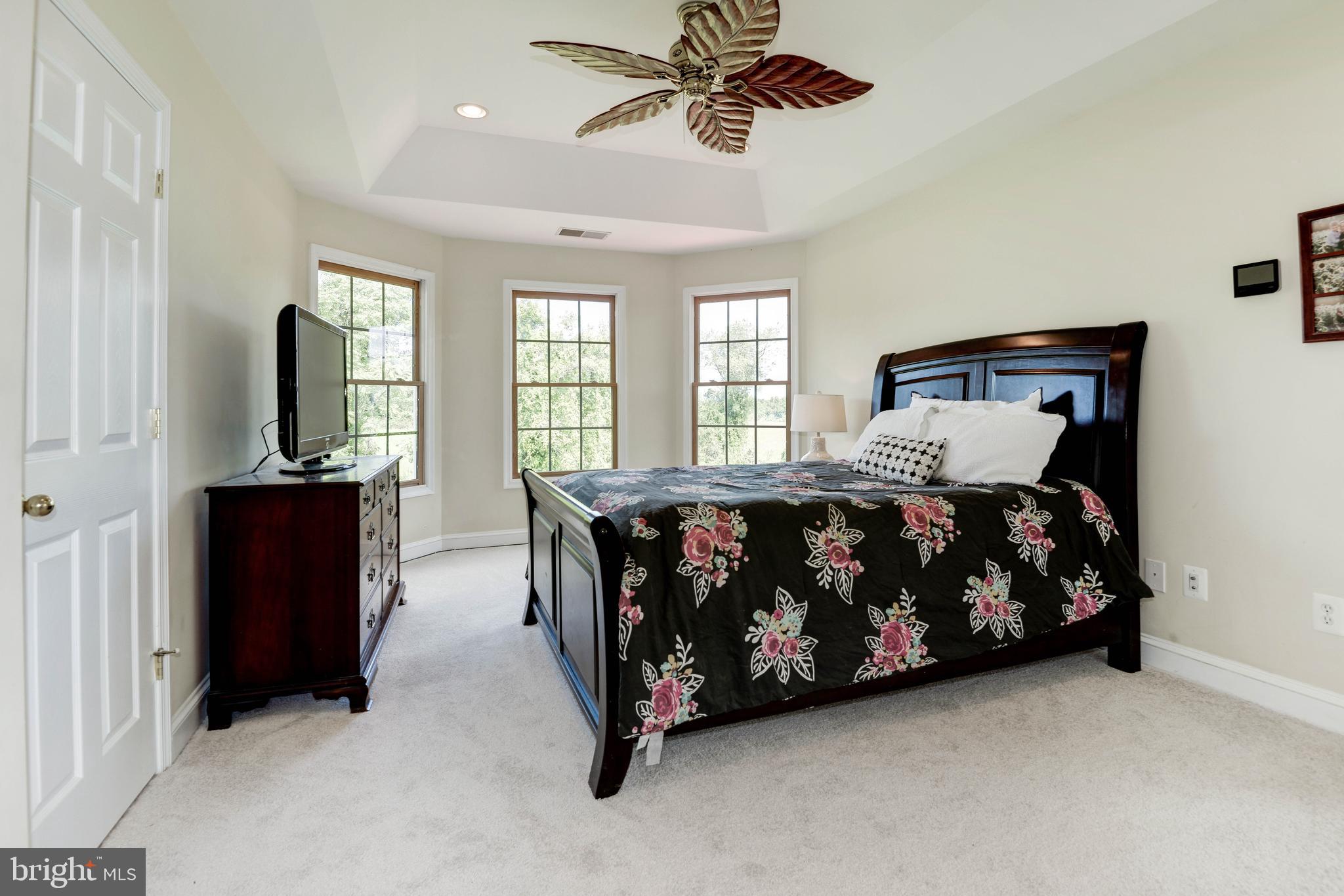 36906 North Fork Road Purcellville, VA 20132 - Photo 23 of 57 Primary Bedroom with Tray Ceiling