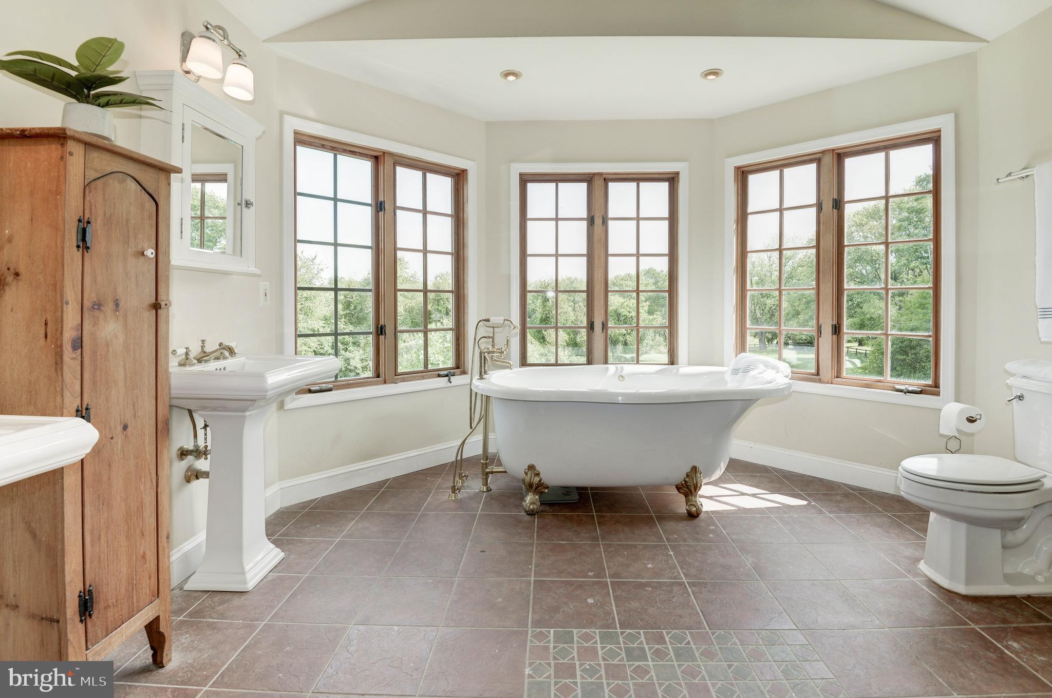 36906 North Fork Road Purcellville, VA 20132 - Photo 26 of 57 Classic Design Soaking Tub