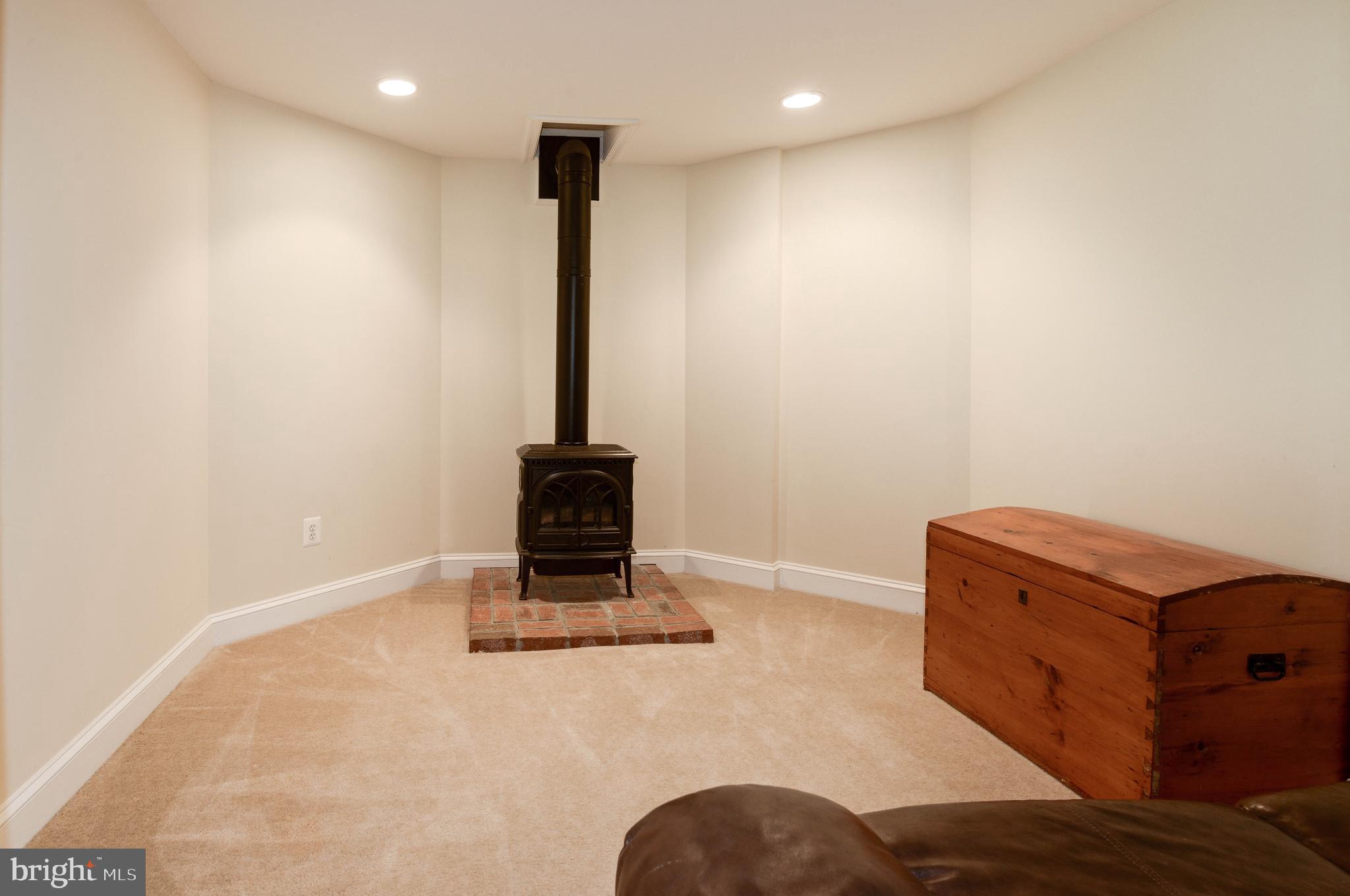 36906 North Fork Road Purcellville, VA 20132 - Photo 36 of 57 Family Room Gas Stove