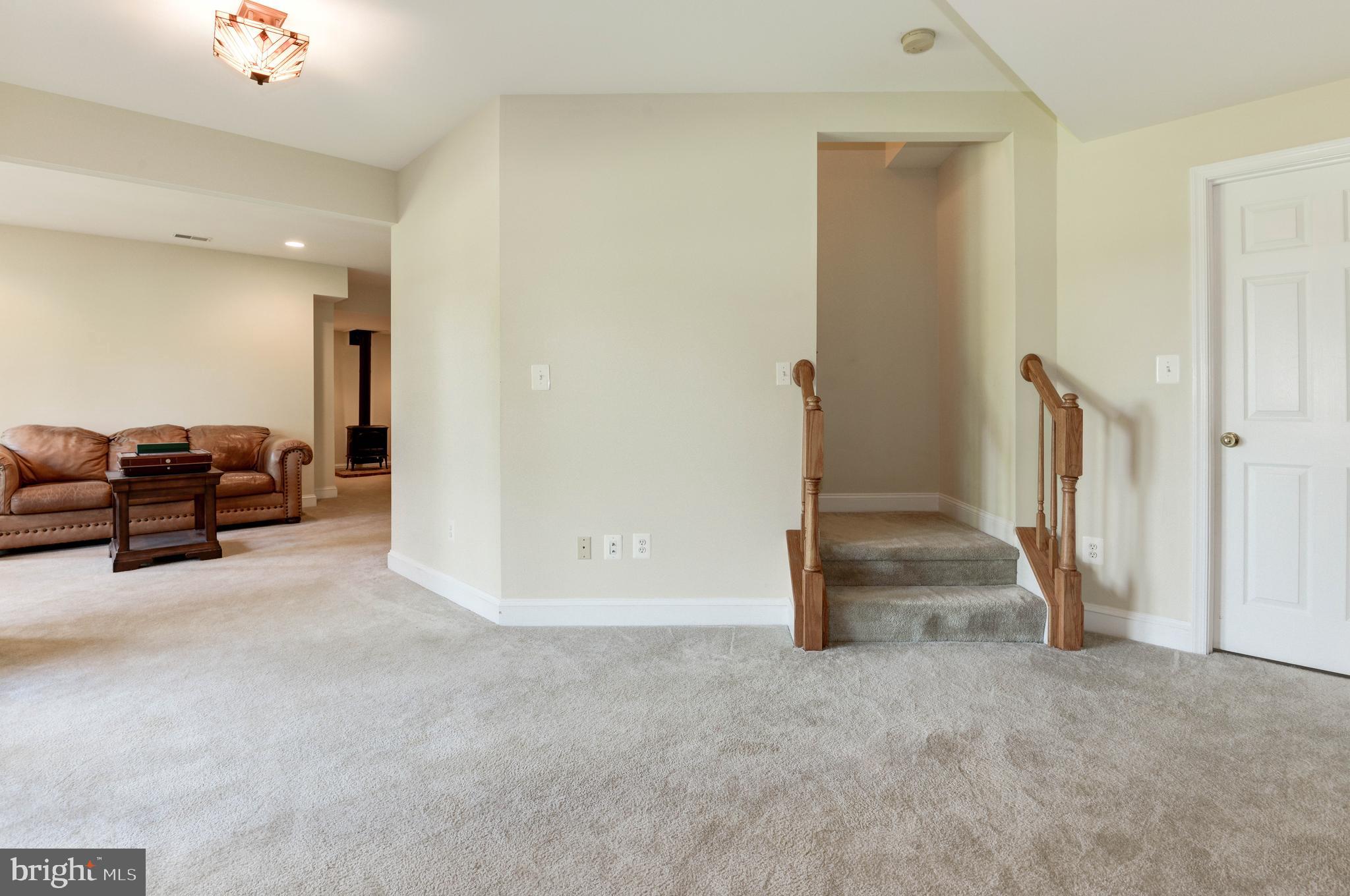 36906 North Fork Road Purcellville, VA 20132 - Photo 37 of 57 Carpeted Lower Level