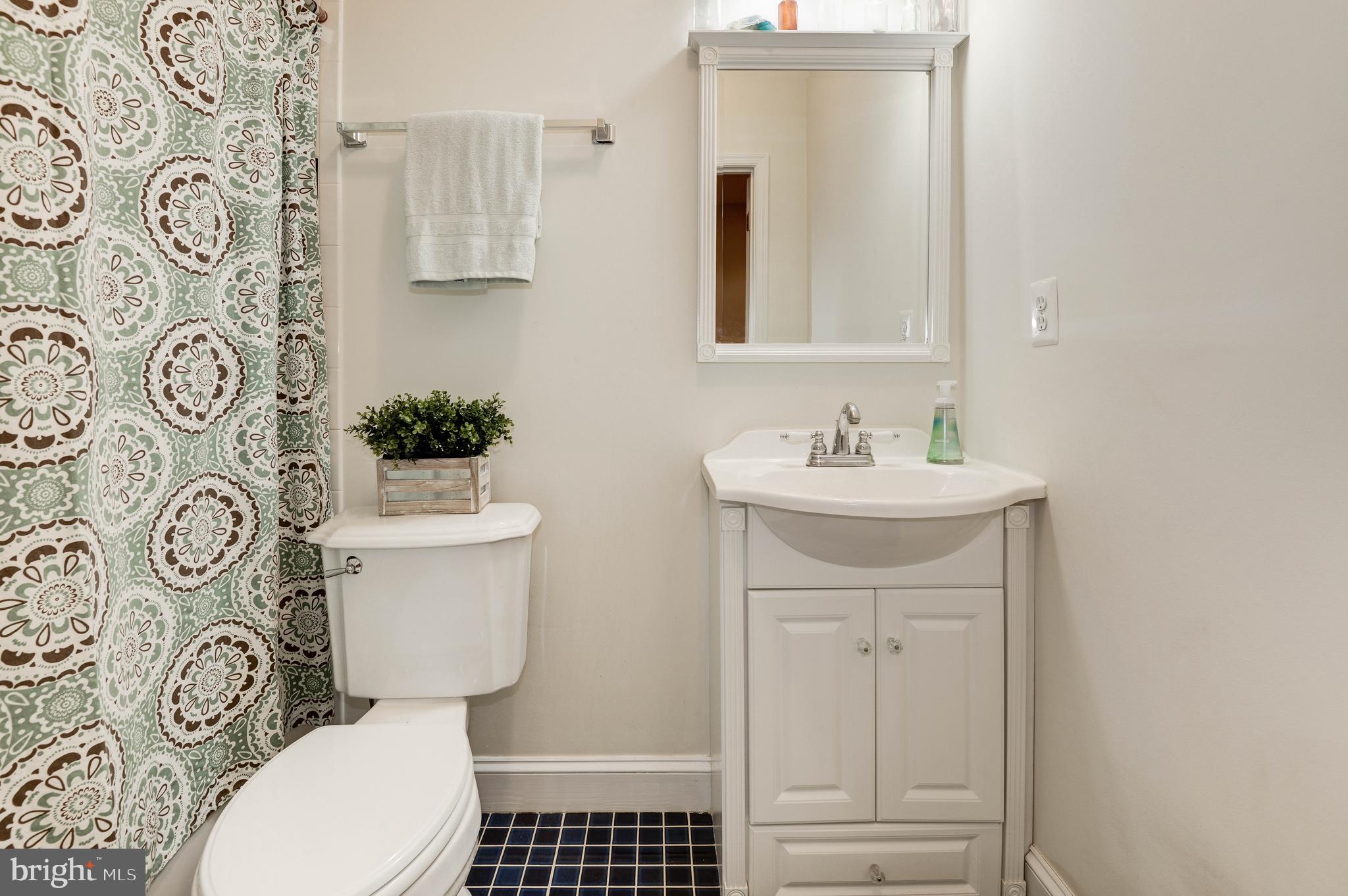 36906 North Fork Road Purcellville, VA 20132 - Photo 40 of 57 Full Lower Level Bath