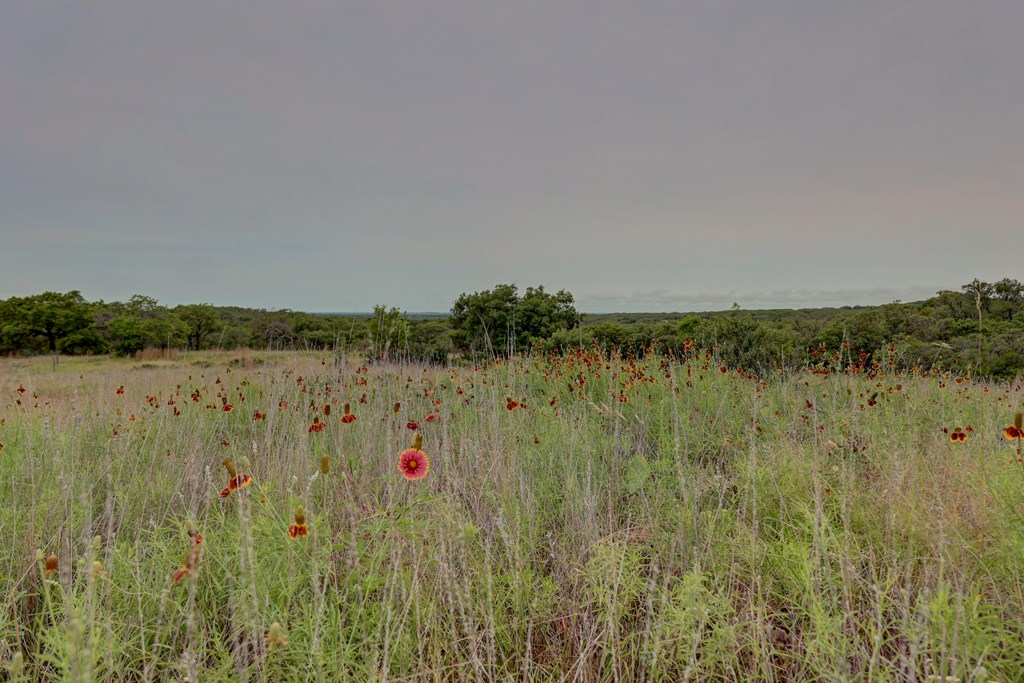 8177 Wendel Road Harper, TX 78631 - Photo 26 of 32