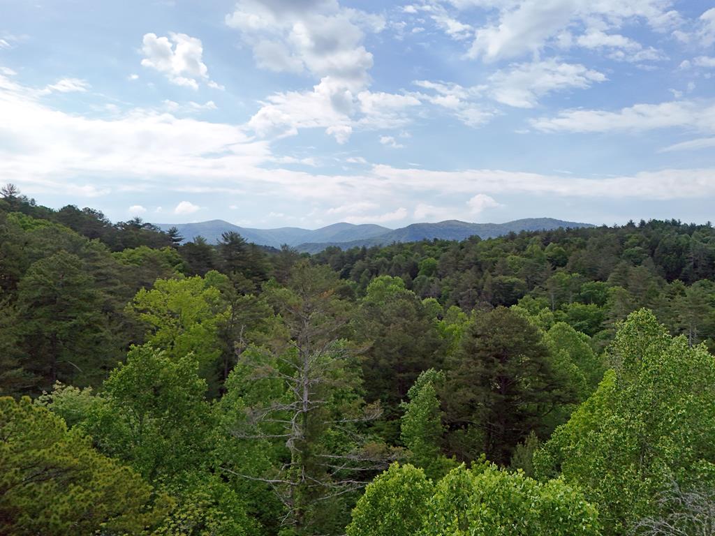 13-acres Goose Island Road Cherry Log, GA 30522 - Photo 17 of 47 a view of a city and mountains