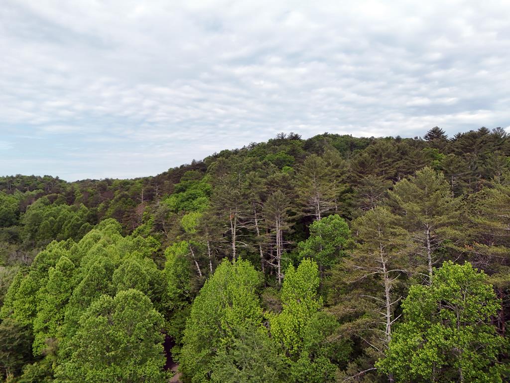 13-acres Goose Island Road Cherry Log, GA 30522 - Photo 18 of 47 an aerial view of mountain with side of green space