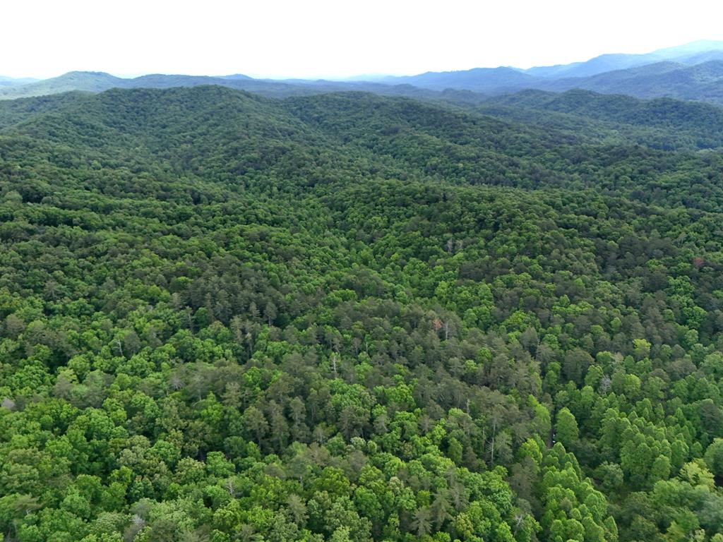 13-acres Goose Island Road Cherry Log, GA 30522 - Photo 21 of 47 a view of a mountain in the distance in a field