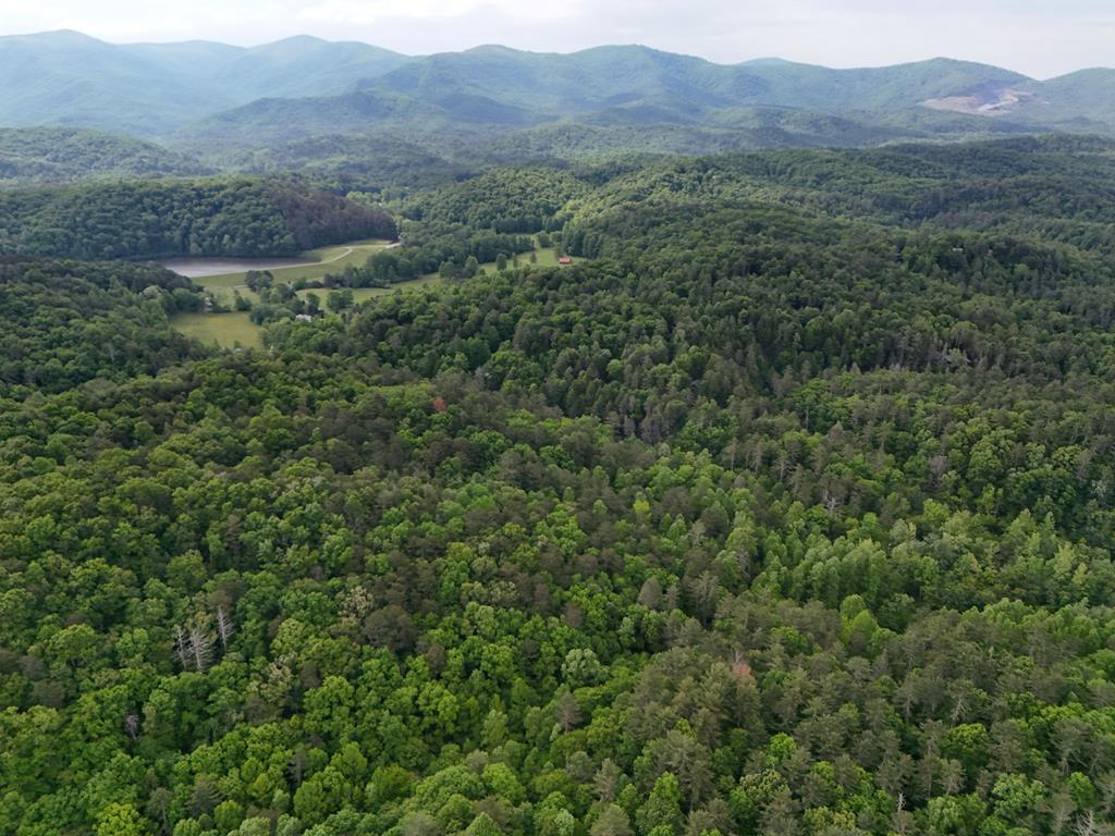 13-acres Goose Island Road Cherry Log, GA 30522 - Photo 31 of 47 a view of a lush green hillside and a houses