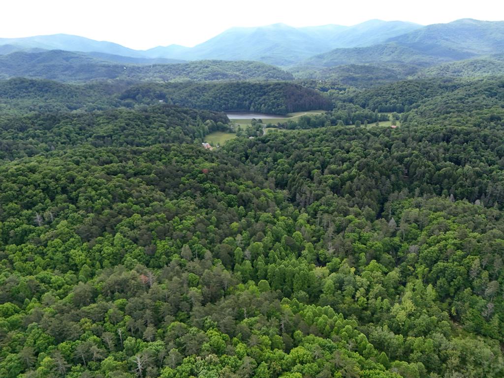 13-acres Goose Island Road Cherry Log, GA 30522 - Photo 32 of 47 a view of a lush green hillside and a houses