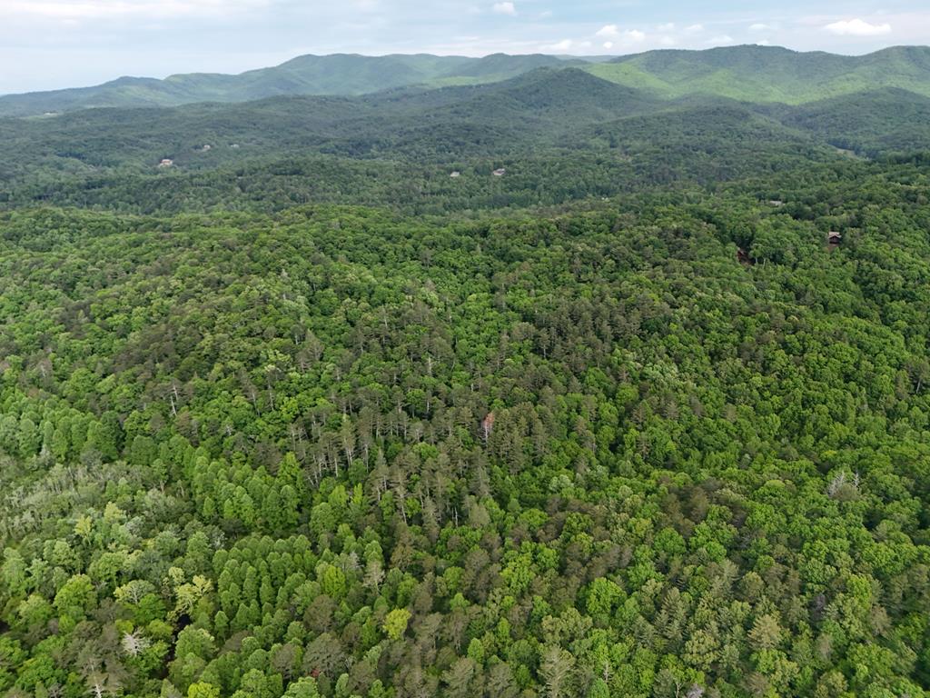 13-acres Goose Island Road Cherry Log, GA 30522 - Photo 39 of 47 a view of a mountain range with lush green forest