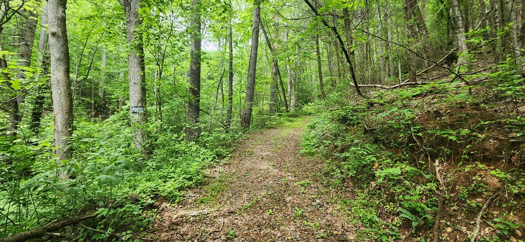 13-acres Goose Island Road Cherry Log, GA 30522 - Photo 4 of 47