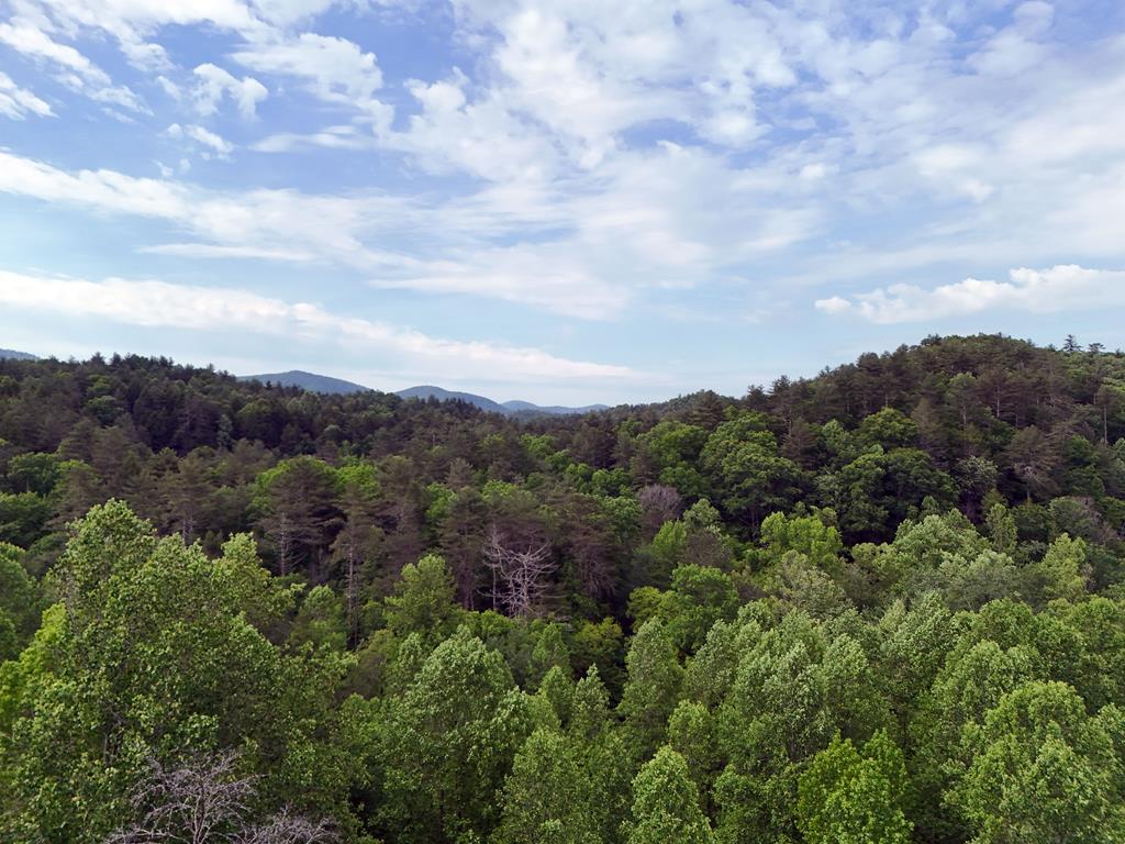 13-acres Goose Island Road Cherry Log, GA 30522 - Photo 10 of 47 an aerial view of a city and mountain view