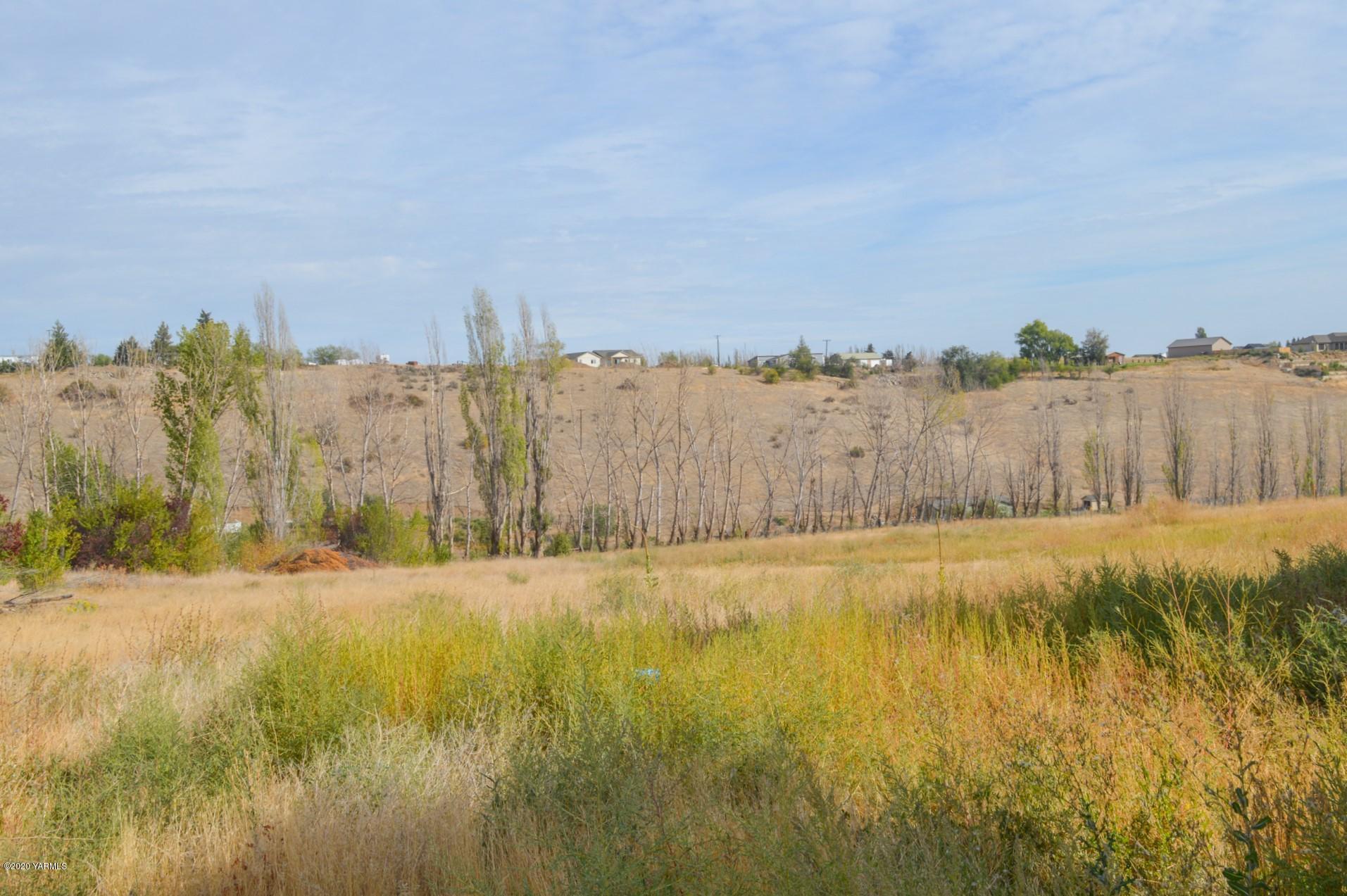 250 West Canyon Road Yakima, WA 98908 - Photo 24 of 27 a view of an outdoor space and mountain view