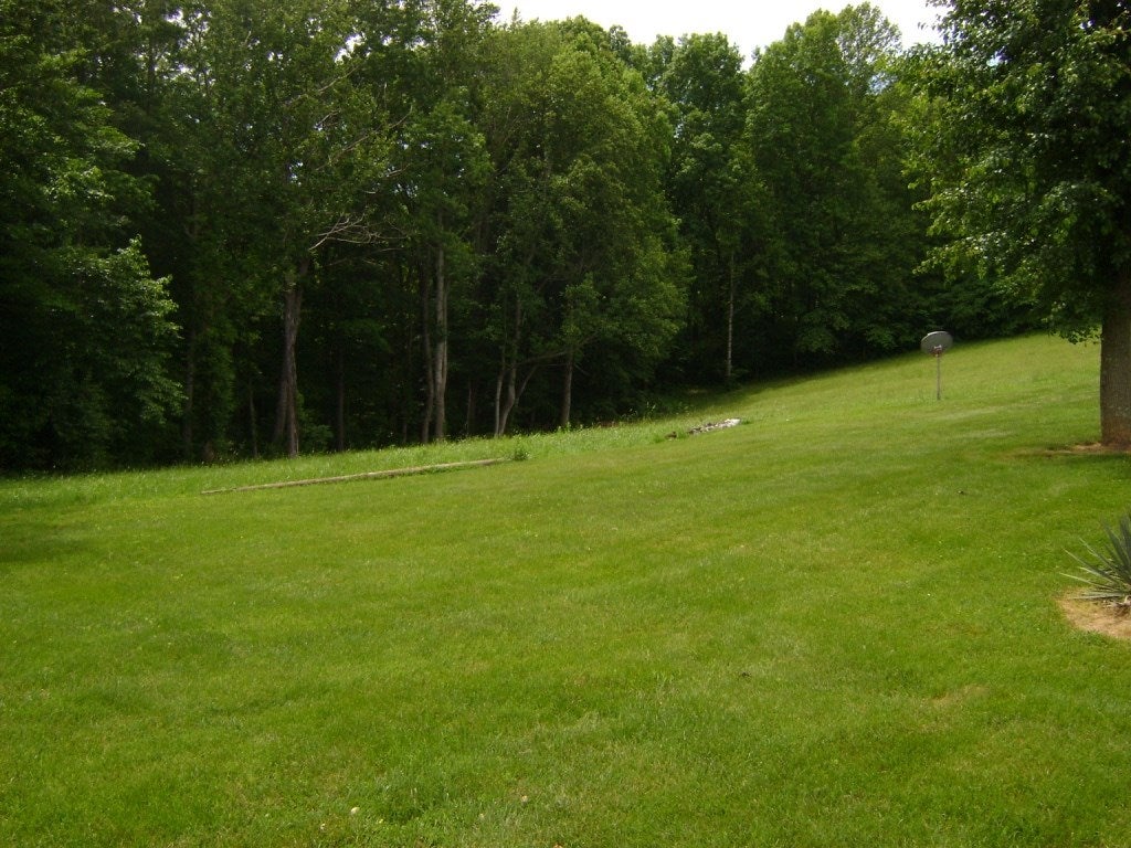 10791 Knifley Road Knifley, KY 42753 - Photo 14 of 16 Gallery Image 14