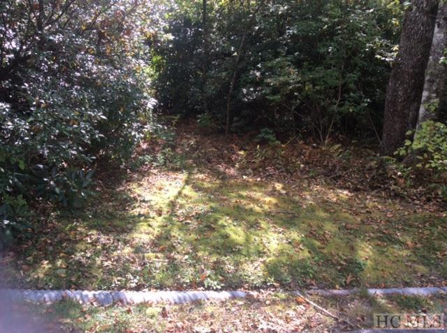 Tbd King Gap Road Highlands, NC 28741 - Photo 2 of 12 Gallery Image 2