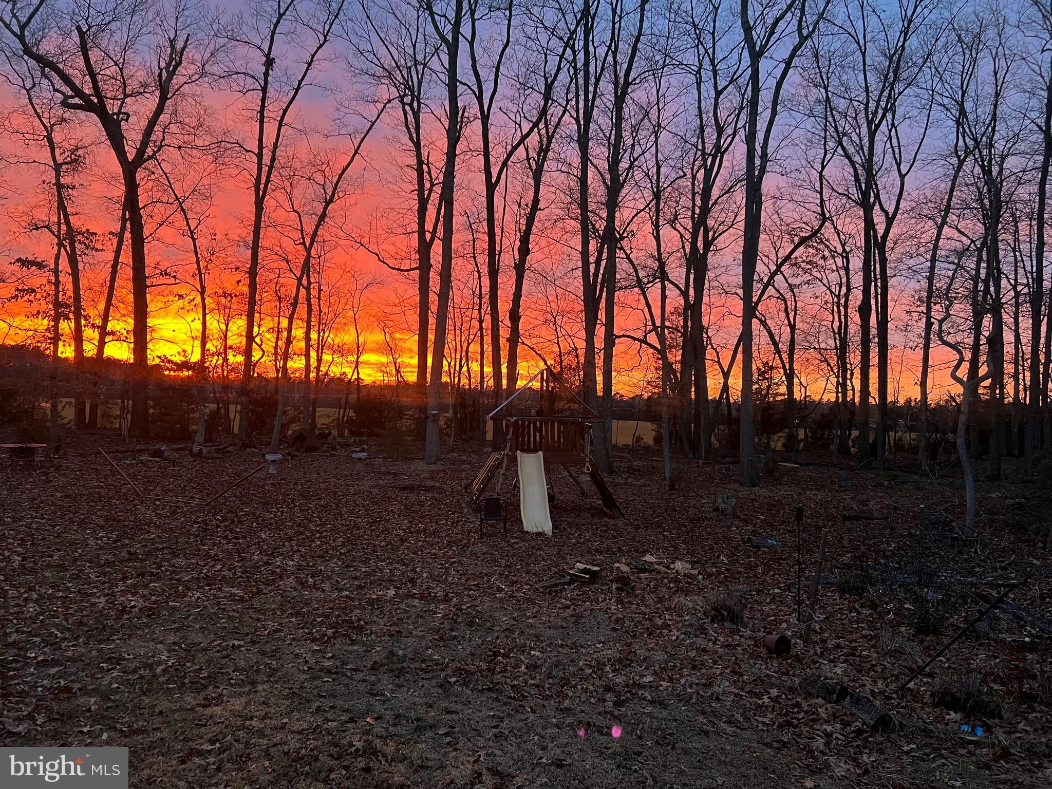 1 Washington Way Tabernacle, NJ 08088 - Photo 34 of 37 a backyard of a house with lots of green space