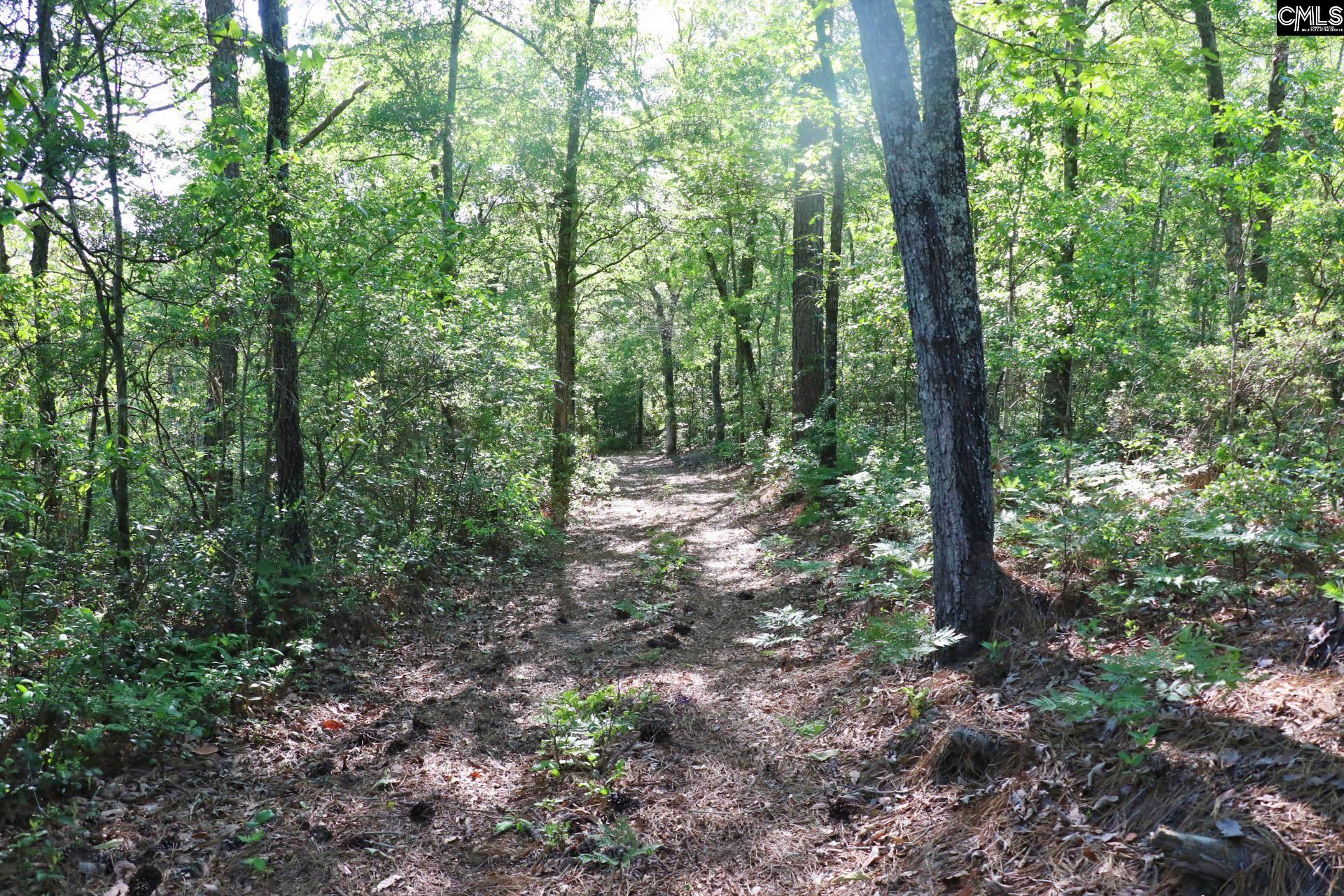 Tbd Browns Pond Road Wagener, SC 29164 - Photo 46 of 48