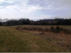 Lot 2 Poplar Springs Road, Unit 2 Greeneville, TN 37743 - Photo 6 of 6 Photo 10