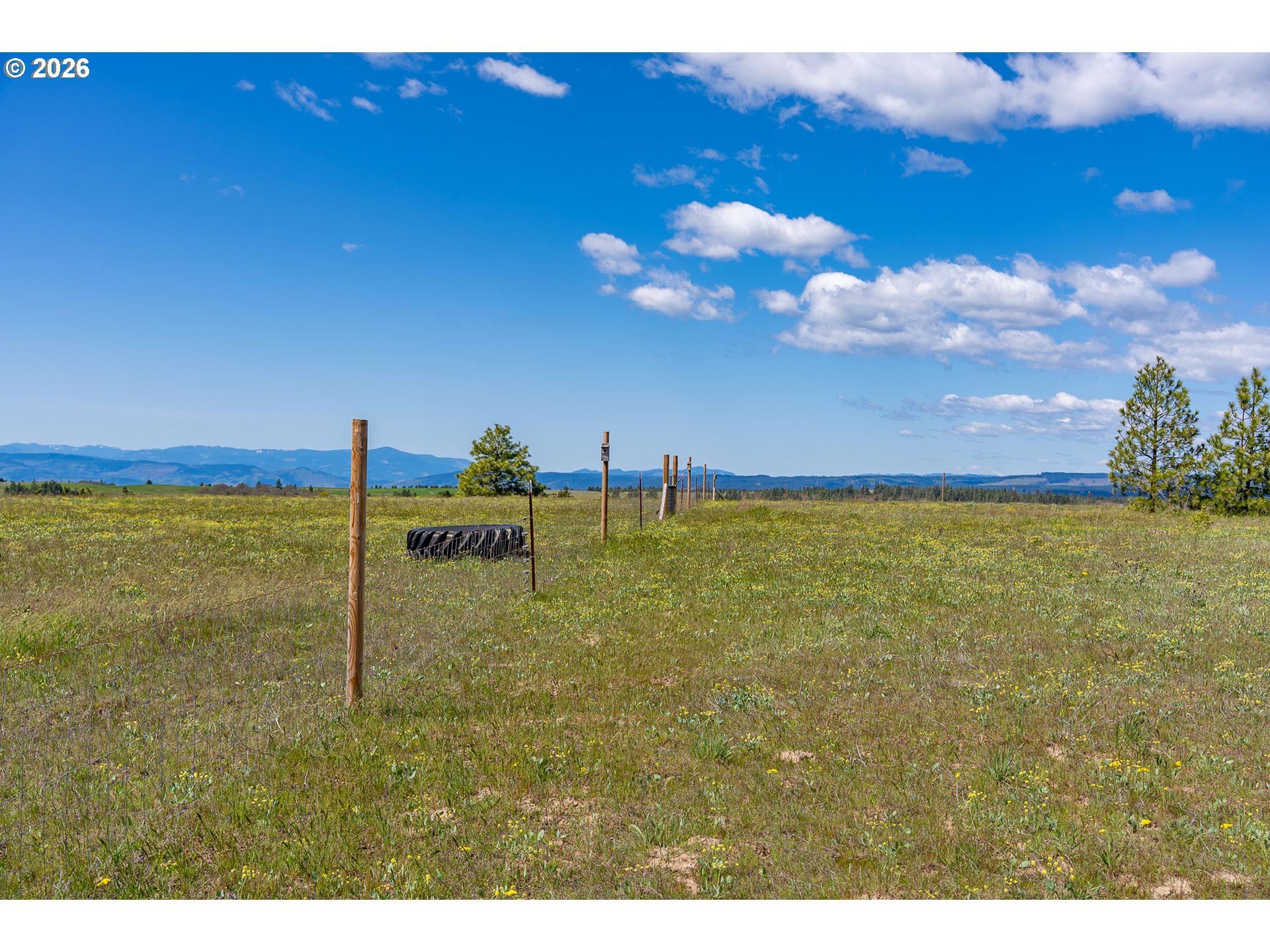 Morris Road Lyle, WA 98635 - Photo 16 of 45
