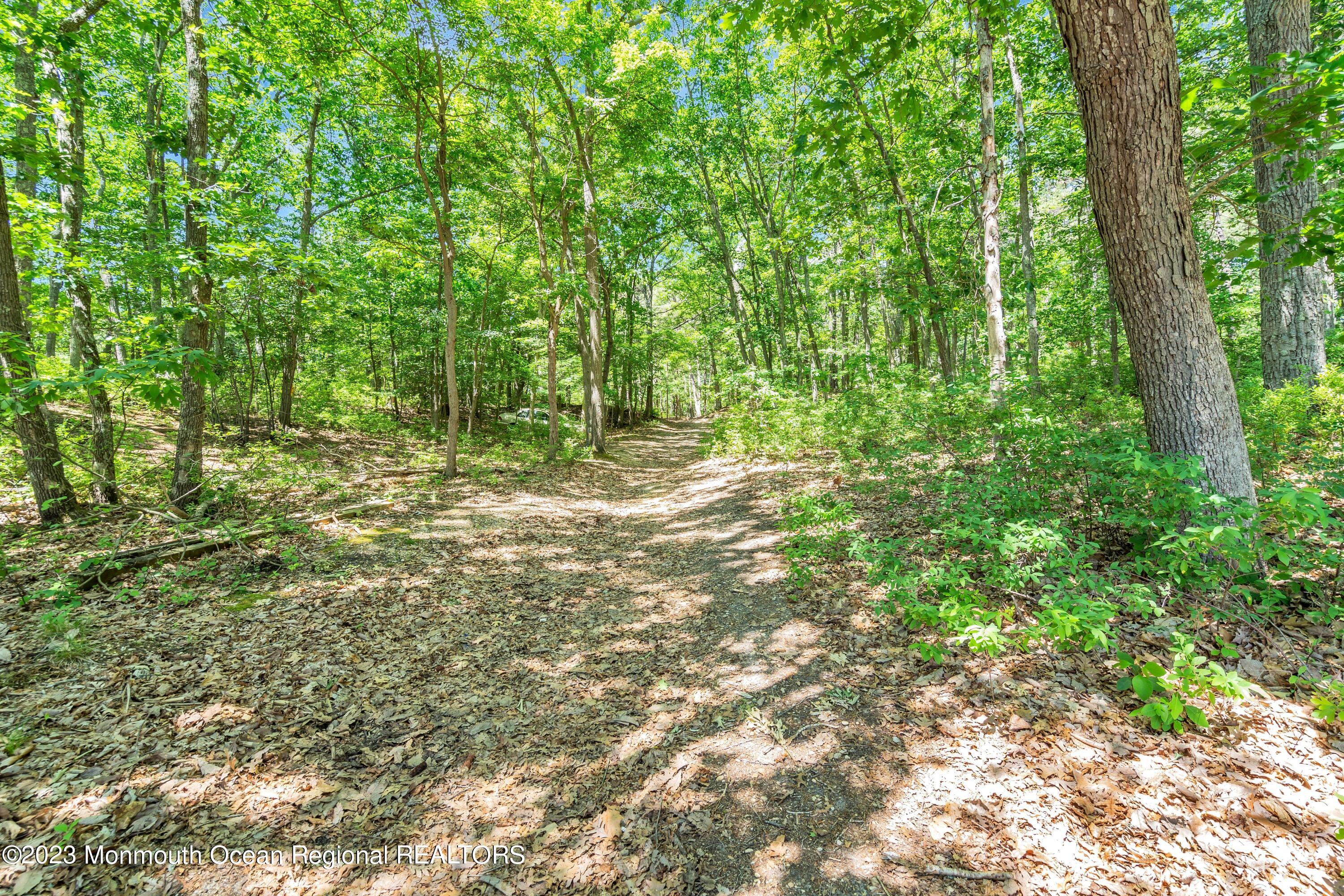 34 Friendship Road Howell, NJ 07731 - Photo 51 of 55 Walking Trails in Yard