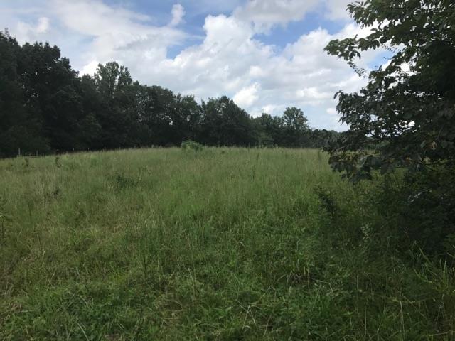 0 Sandusky Road Lawrenceburg, TN 38464 - Photo 1 of 8