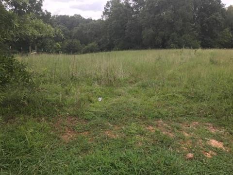 0 Sandusky Road Lawrenceburg, TN 38464 - Photo 2 of 8