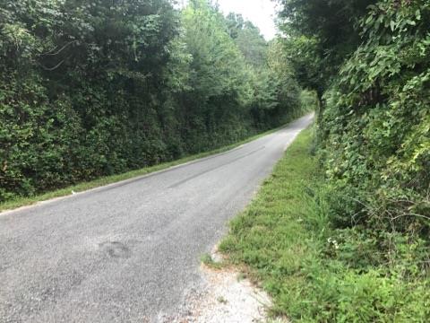 0 Sandusky Road Lawrenceburg, TN 38464 - Photo 3 of 8