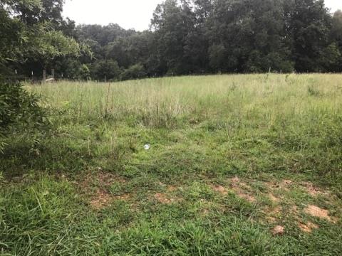 0 Sandusky Road Lawrenceburg, TN 38464 - Photo 4 of 8