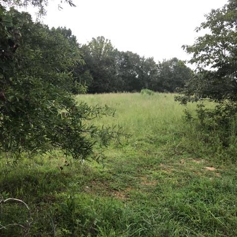 0 Sandusky Road Lawrenceburg, TN 38464 - Photo 5 of 8