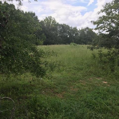 0 Sandusky Road Lawrenceburg, TN 38464 - Photo 6 of 8