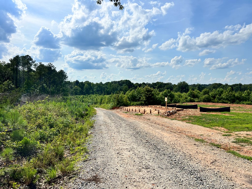 452 Bowie Road Troy, SC 29848 - Photo 2 of 15
