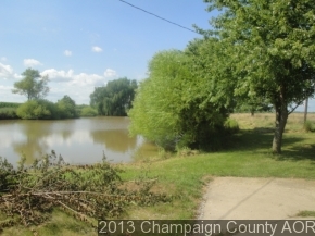 919 Tonti Road Sandoval, IL 62882 - Photo 3 of 19