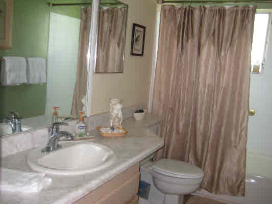 3780 Edward Road, Unit 5201 Princeville, HI 96722 - Photo 19 of 23 a bathroom with a toilet a sink and mirror