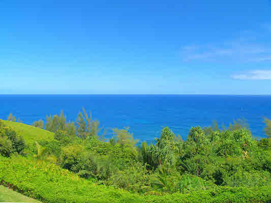 3780 Edward Road, Unit 5201 Princeville, HI 96722 - Photo 2 of 23 a view of a houses with a ocean