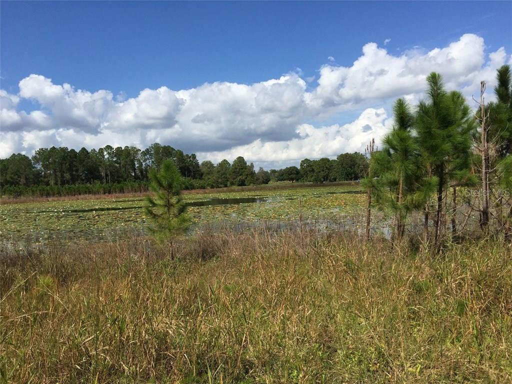 0 Baker Road Umatilla, FL 32784 - Photo 1 of 1 Gallery Image 1