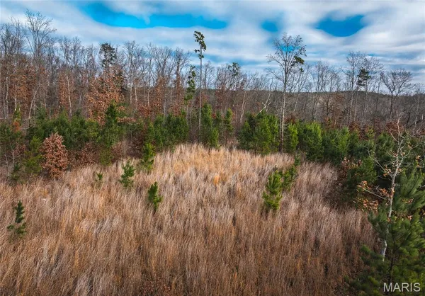 $389,000 | 65.86 County Road 2120, Edgar Springs, MO 65462