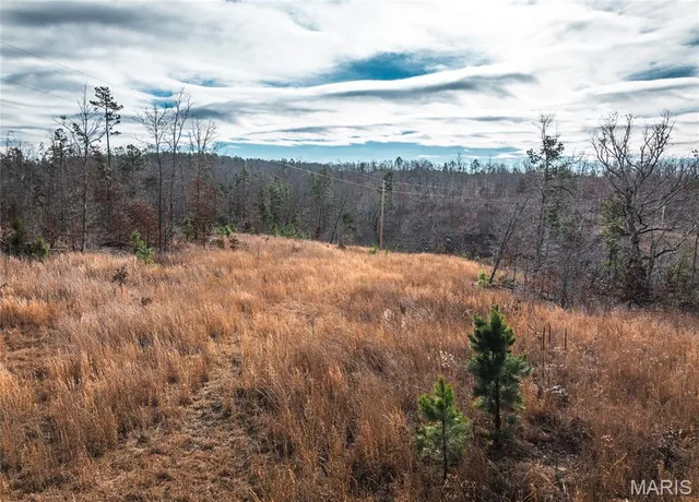 $389,000 | 65.86 County Road 2120, Edgar Springs, MO 65462