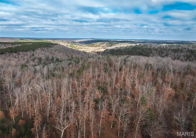 $389,000 | 65.86 County Road 2120, Edgar Springs, MO 65462