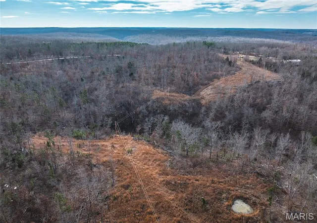 $389,000 | 65.86 County Road 2120, Edgar Springs, MO 65462