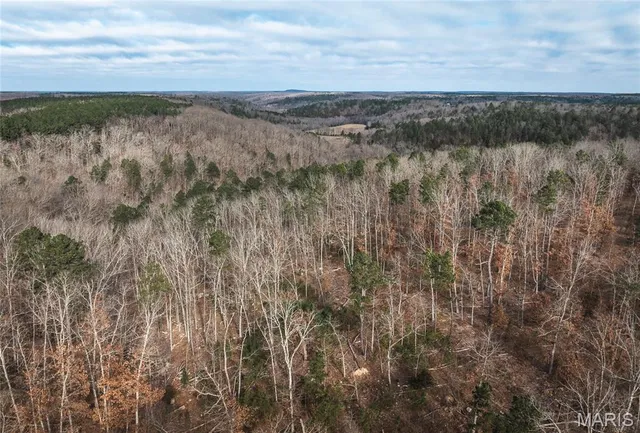 $389,000 | 65.86 County Road 2120, Edgar Springs, MO 65462