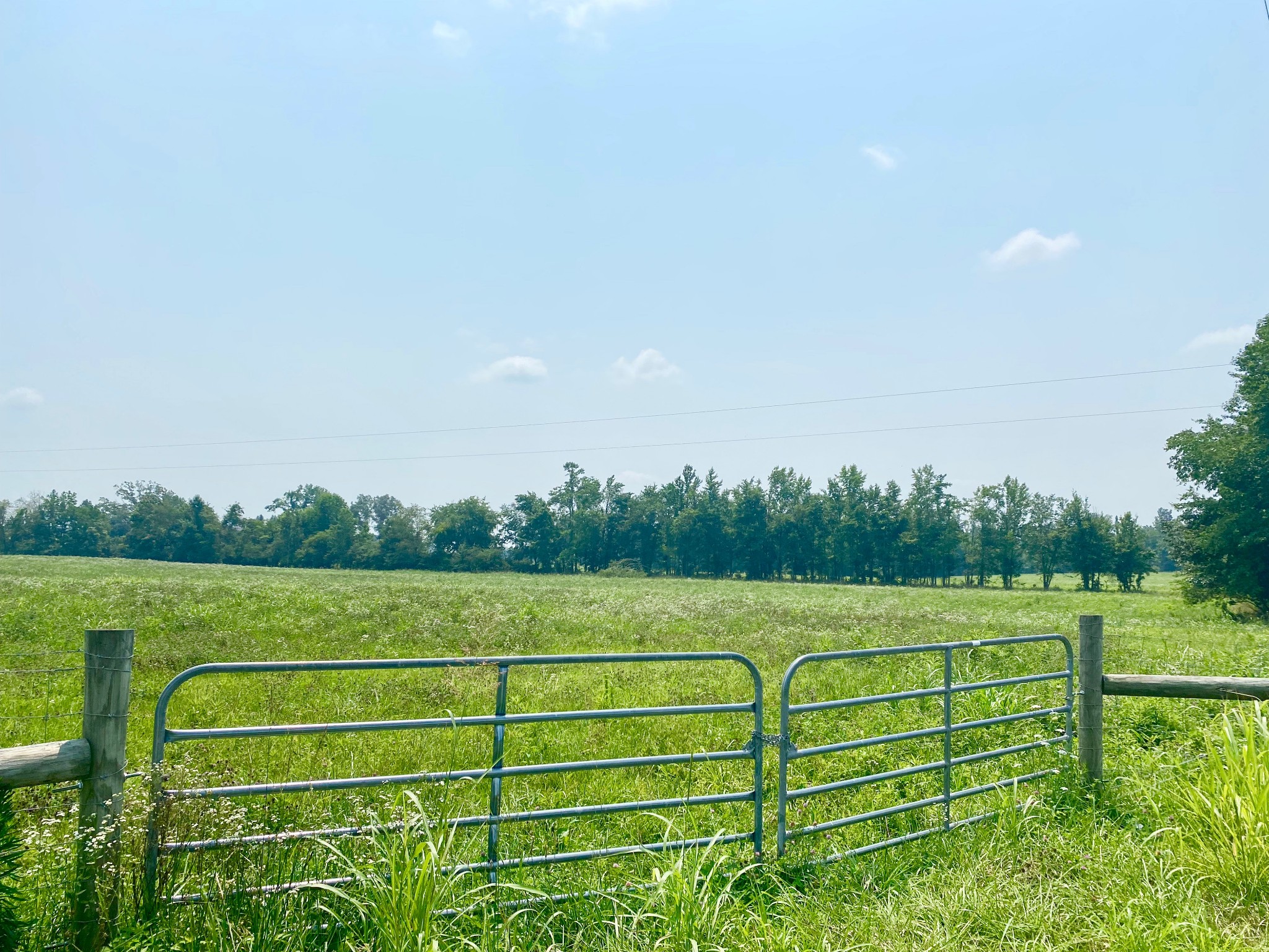 1 Herman Road Smithville, TN 37166 - Photo 2 of 3 Gallery Image 2