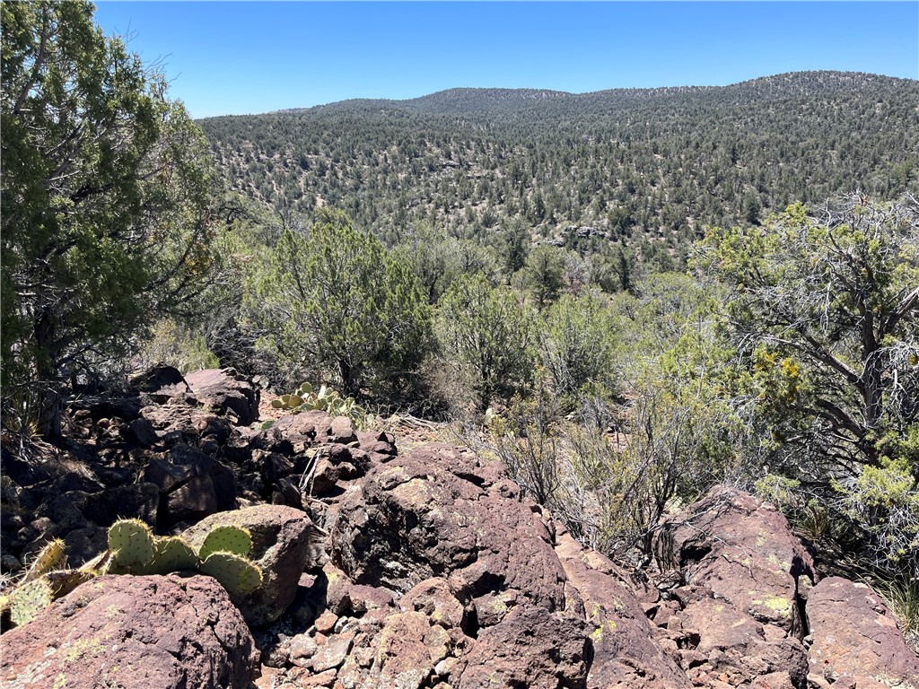 46675 North Edge Ridge Road Seligman, AZ 86337 - Photo 12 of 28